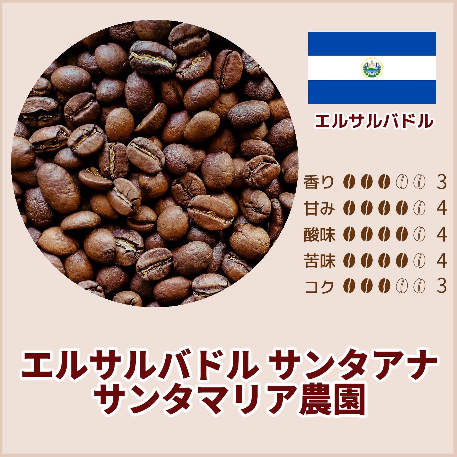 IDLA23010エルサルバドル サンタアナ サンタマリア農園｜ワタスキ珈琲焙煎所